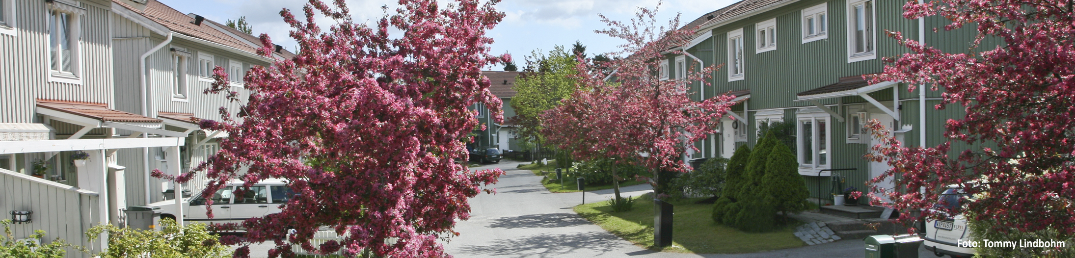 Välkommen till Åbroddsgränd